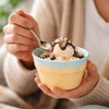 ONEUSTAR 4 Pcs Ice Cream Bowls Ceramic Ice Cream Cups