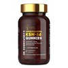 Dr. Sosnowski's BioActive KSM-66 Ashwagandha Gummies | 750mg Ashwagandha Extract