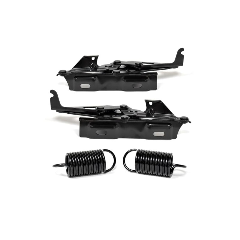 Hood Hinge and Spring Kit - Driver and Passenger Side