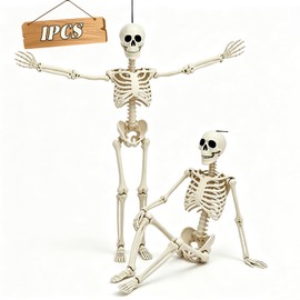 5.75ft Life Size Posable Halloween Skeleton, Movable Joints