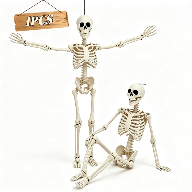 5.75ft Life Size Posable Halloween Skeleton, Movable Joints