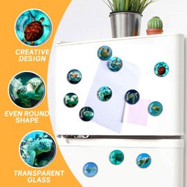Glass Strong Animals Refrigerator Magnets,12 Pcs Decorative Magnets for Fridge Lovely Decor for Home Kitchen Office Whiteboard (Turtle Refrigerator Magnet)
