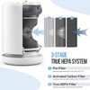 True HEPA Replacement Filters Compatible with Molekule Air Mini &