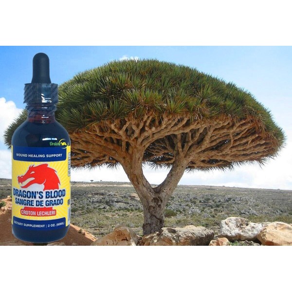 Sangre De Grado 100% Pure Dragon's Blood Tree Sap Liquid