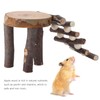 Small Animals Climb Platform, Hamster Activity Living Playground Hamster Platform