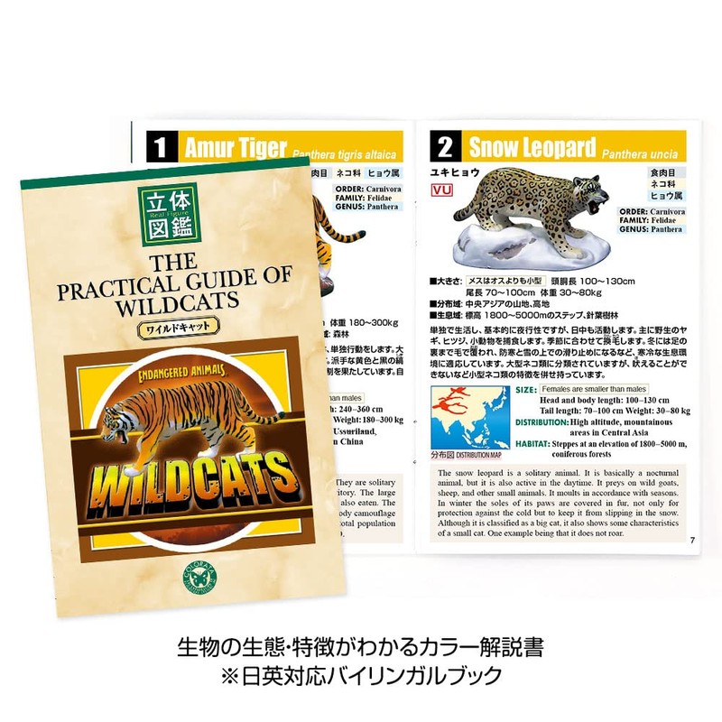 立体図鑑リアルフィギュアボックス ワイルドキャット ネコ科動物