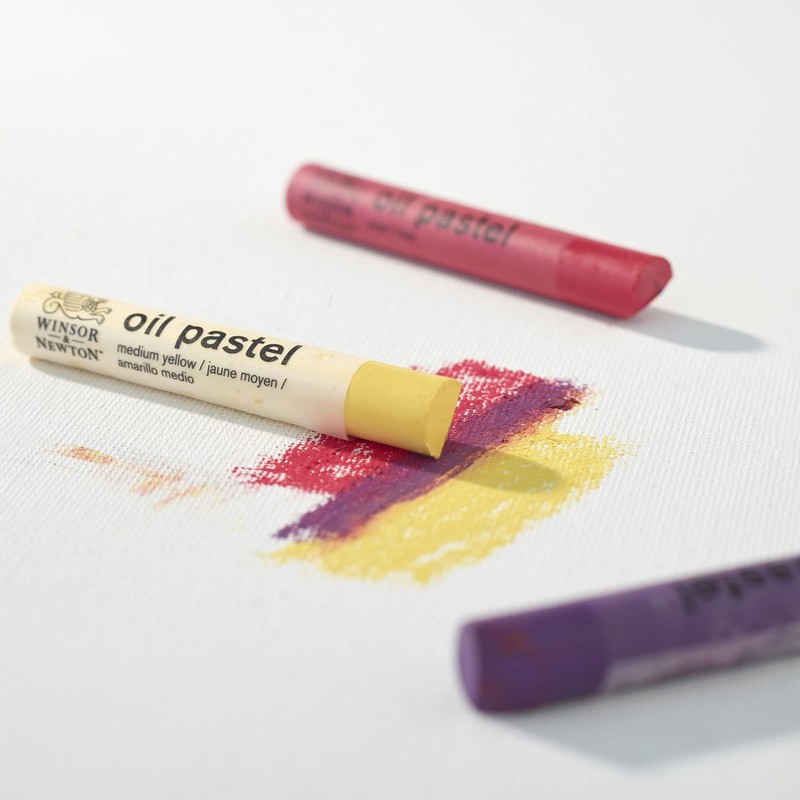 Winsor & Newton 1890001 Artist Oil Pastels, Easy to Apply