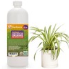 Gardenera Premium Liquid Spider Plant Fertilizer - 3-1-2 Concentrate for