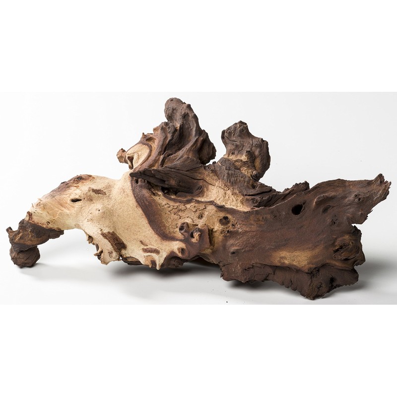Pisces AM-MOP014 14" Large Mopani Wood, Varies