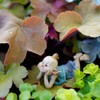 Top Collection Miniature Fairy & Terrarium Garden Pixie in Thought