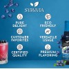 Syruvia Sugar Free Blueberry Syrup 25.4 fl oz, for Beverages,