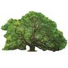 Madd Capp Tree Shaped 1000 Piece Jigsaw Puzzle - I