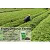 Natural Gynostemma Tea-Jiaogulan Tea 8 Oz, Reusable Bag.100% Natural Dried