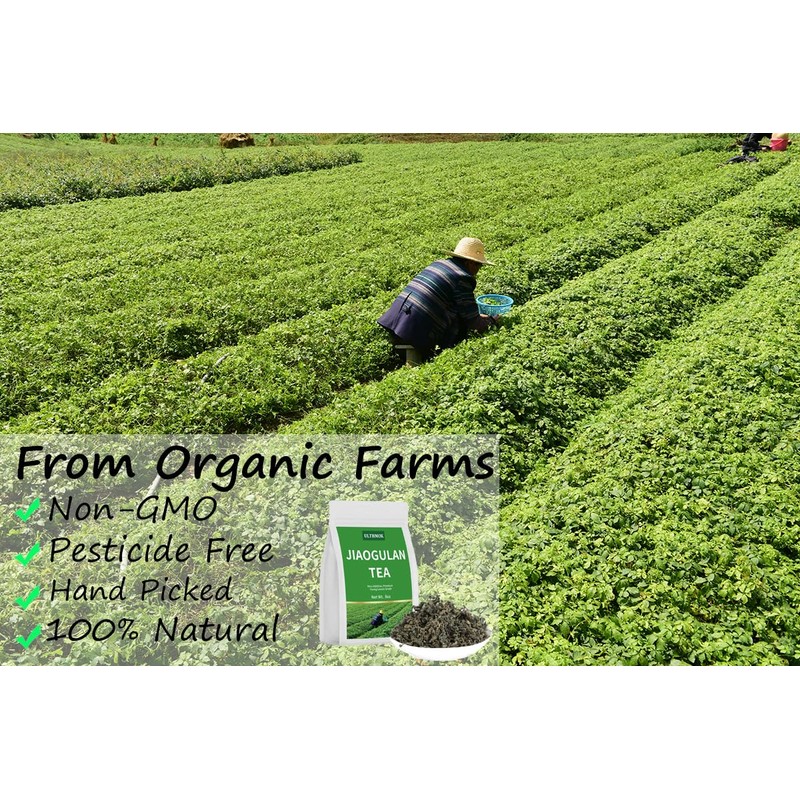 Natural Gynostemma Tea-Jiaogulan Tea 8 Oz, Reusable Bag.100% Natural Dried