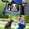 LURI Botella de Agua y Comida para Perro Dos en