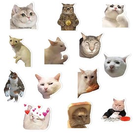 Lovely Funny Fridge Magnets Cat Meme Fasteners on Home& Kitchen; Applicable on Refrigerator, Car, Office Cabinets, Dishwasher and Whiteboard The Most Interesting Birthday Gift (13 Pieces)
