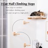 Coolex Cat Shelves - 3-Step Wall Climbing Set with Plush