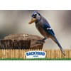 CountryMax Backyard Seeds in-Shell Raw Unprocessed Peanuts 50lbs - Premium