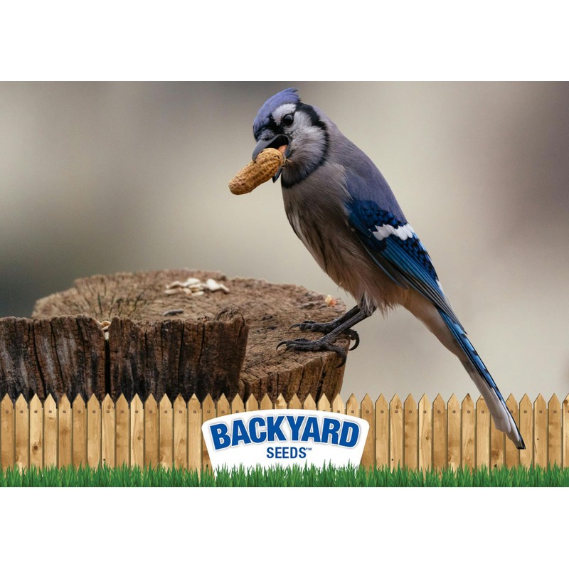 CountryMax Backyard Seeds in-Shell Raw Unprocessed Peanuts 50lbs - Premium