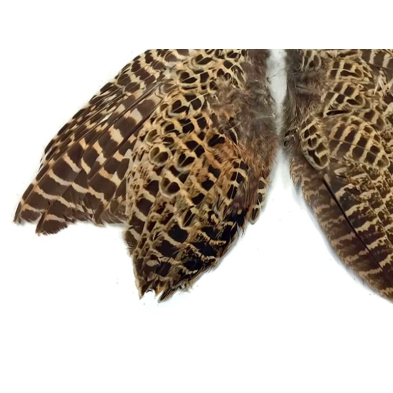 1 Pair - Natural Ringneck Pheasant Hen Whole Wing Feather