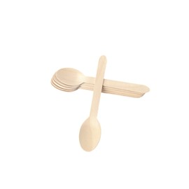 EnvoWise | Disposable Wooden Spoons, 100pcs/320pcs/1000pcs Pack, 6.3" Length | All Natural Eco-Friendly Birchwood Utensils Biodegradable Compostable Wood Cutlery (100 Spoons)
