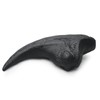 Fossilized Teeth and Claws of Various Prehistoric Dinosaurs, Megalodon Shark