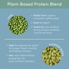 Tone It Up Plant Based Protein Powder I Dairy Free,
