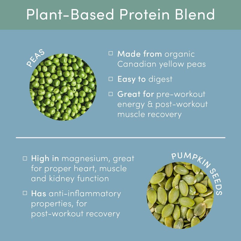 Tone It Up Plant Based Protein Powder I Dairy Free,