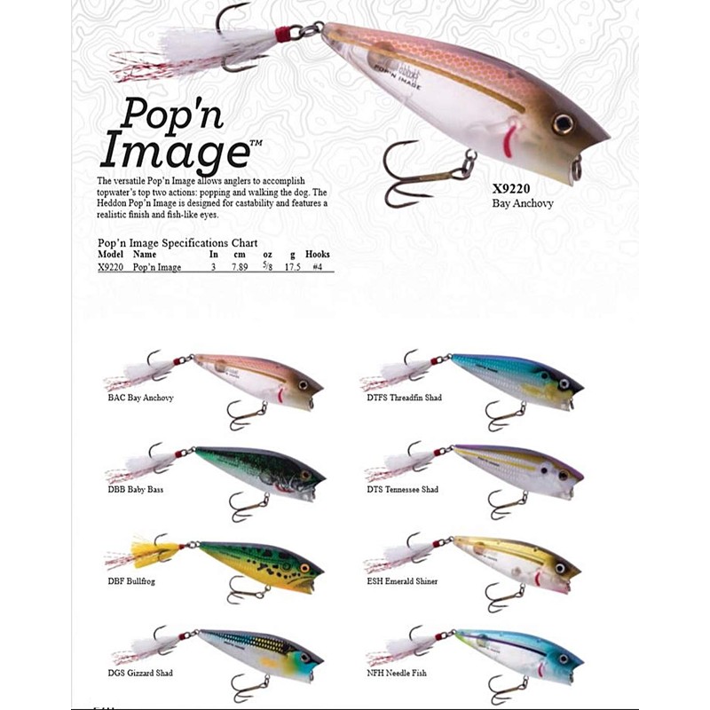 Heddon Pop'n Image Lure (Tennessee Shad, 3-Inch)