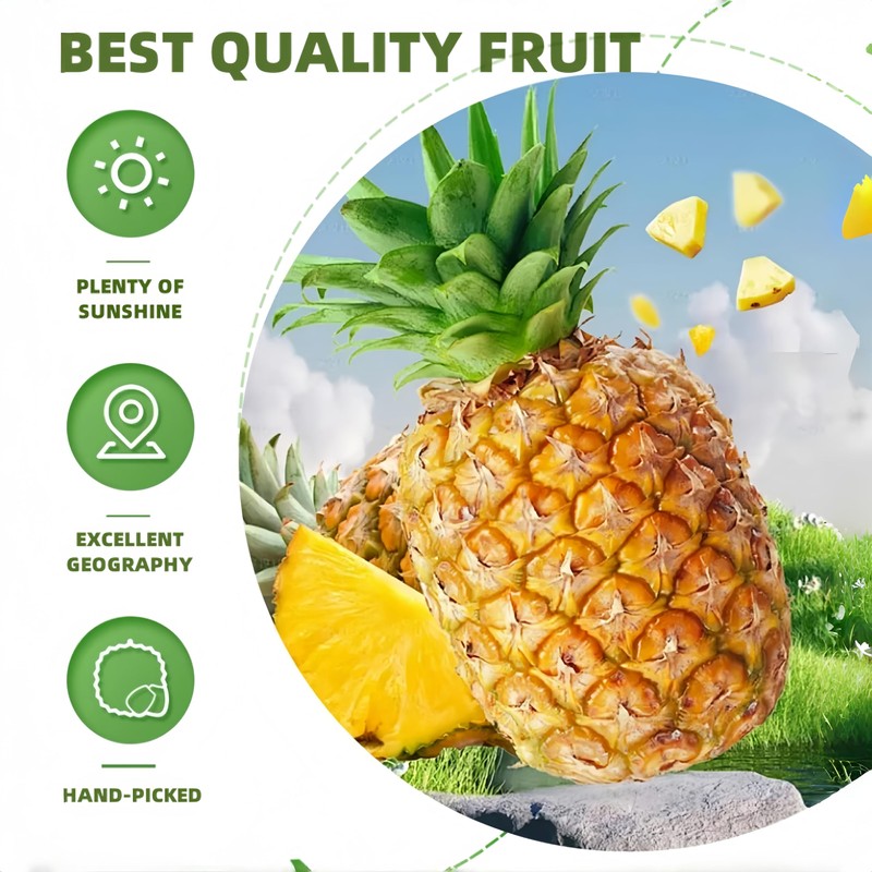SYZJMWDY Organic Freeze Dried Pineapple Chunks, 7.05oz - No Sugar