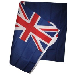 Trade Winds 3x5 New South Wales Flag 3'x5' House Banner Brass Grommets Premium Fade Resistant