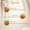 dhathri Dhathri Hair Protector - Concentrated Hair Oil 50 gm