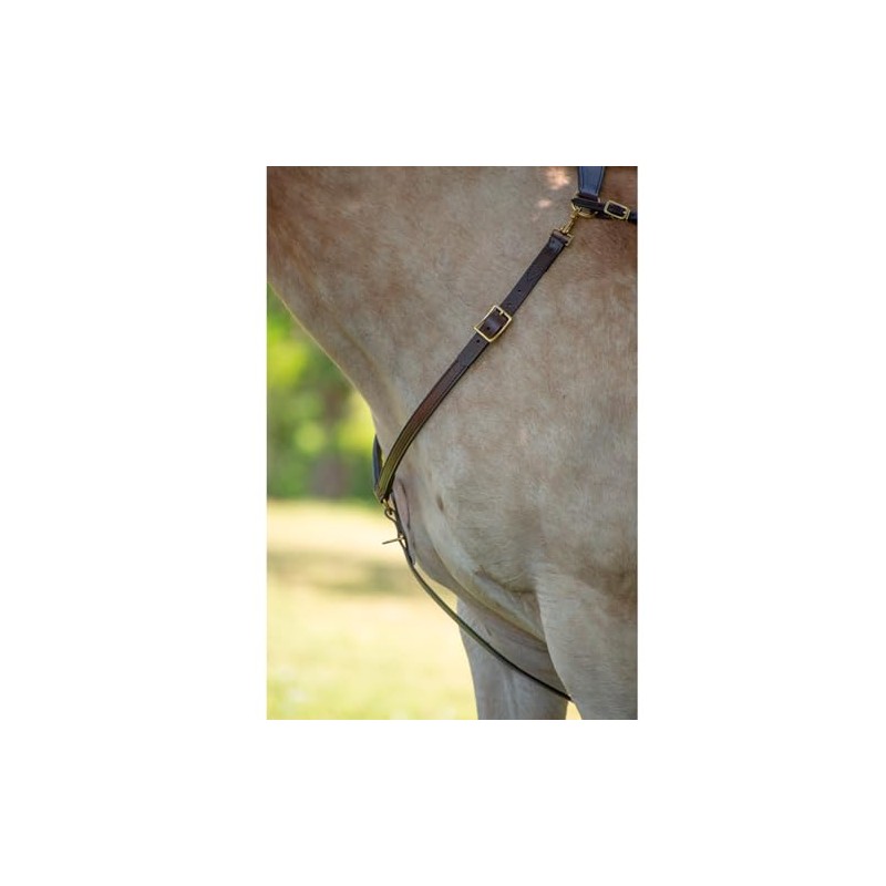 Tucker Classic Montreal Breast Strap Trail Horseback Riding Equestrian Sports