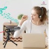 Importeek Microfono Condensador Alambrico Computadora Celular + Tripie