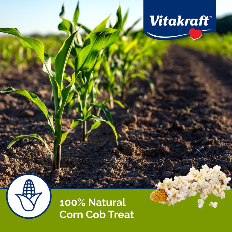 Vitakraft Mini Pops Treat for Small Animals - 100% Real