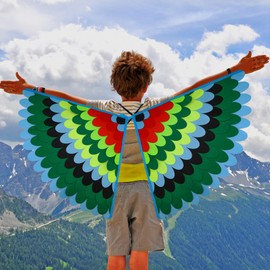 Felt Hummingbird Bird Wings Capes and Masks, Fairy Bird Costume Costume for Kids, Humming Bird Fancy Dress Up for Carnival Party