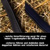 Pferdelinis Halter for Warmblood, Thoroughbred, Cold Blood, Pony - Stable