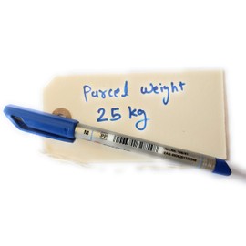 ARTH Manila Strung Tags Luggage Labels White Size 120X60MM Pack of 50