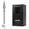 BESSIE Leabit corn barrel hard XF nail bit, 5 pieces, silver / BESSIE 리아비트 콘배럴하드 XF 네일비트, 5개, 실버