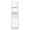 Goldwell Dualsense Scalp Specialist Deep Cleansing Shampoo 250ml