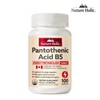 Nature Holic Pantothenic Acid B5 1 bottle 100 capsules / 네이처홀릭 판토텐산 B5 1병 100캡슐