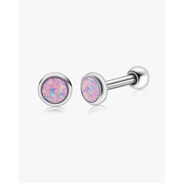 Fashtour Hypoallergenic G23 Implant Grade Titanium Stud Earrings, Screw Back