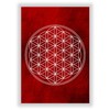 The Flower of Life Energy Pictures, Chakras Picture, Picture Set,