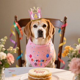 Dog Birthday Party Supplies Bandanas Bow Tie Hat Girl Dog Birthday Crown with Numbers Set for Dogs Pets (Pink)