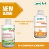 Land Art B-Complex Energy C Mental and Physical Performance -