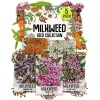 Seed Needs Milkweed Seed Packet Collection by Seed Needs -