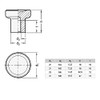 Ganter Normelemente GN 676.5-25-M6-A Knurled Knob Stainless Steel Silver Handle