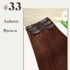 Sunny Hair Clip in Hair Extensions Straight Human Hair Clip