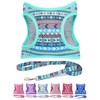 Moonpet Step in Air Boy Dog Harness Leash Set- All
