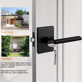 NEWBANG Long Plate Keyed Entry Lever Lock for Exterior Door and Front Door in Black，MDC894-DB-ET-1P